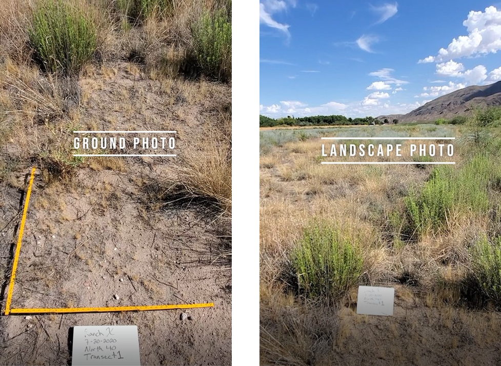 Ground and Landscape Photo Example