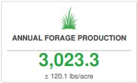 Annual Forage Production