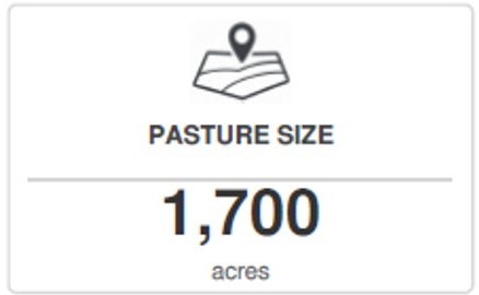 Pasture Size