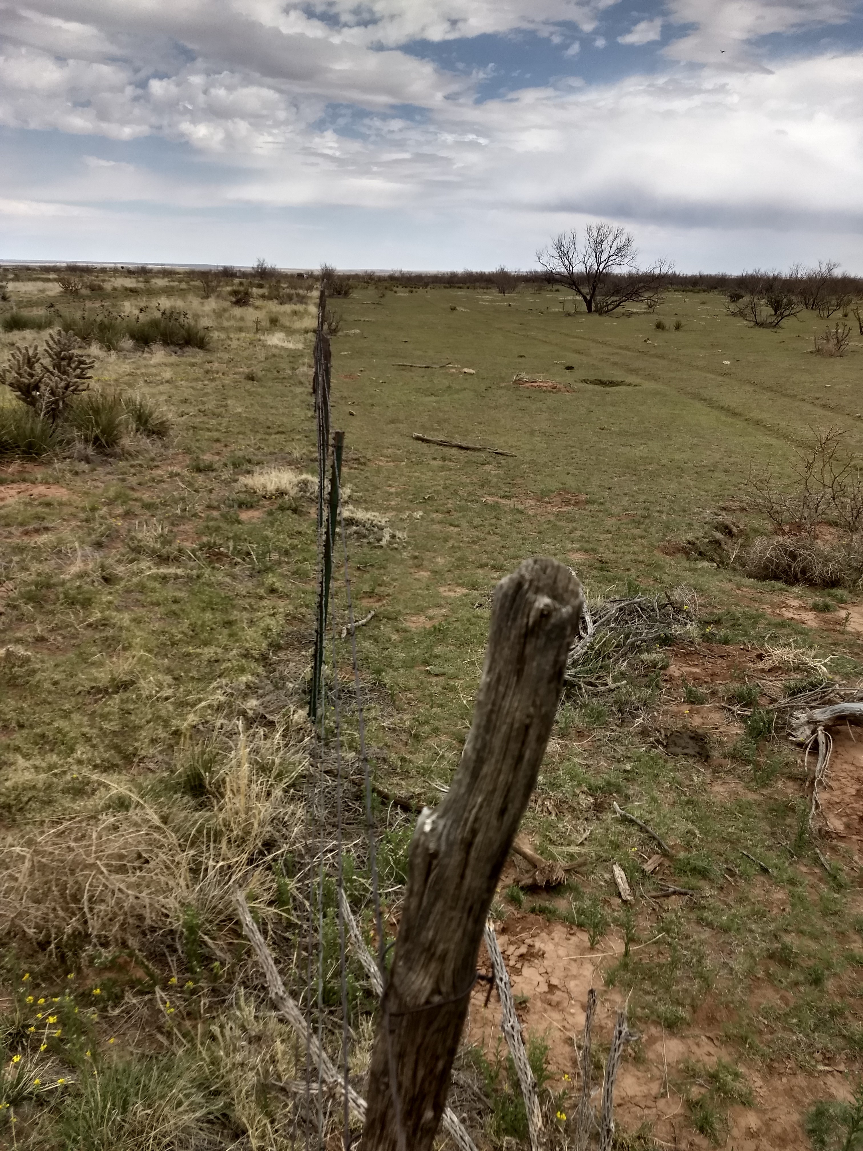 Fence line Contrast